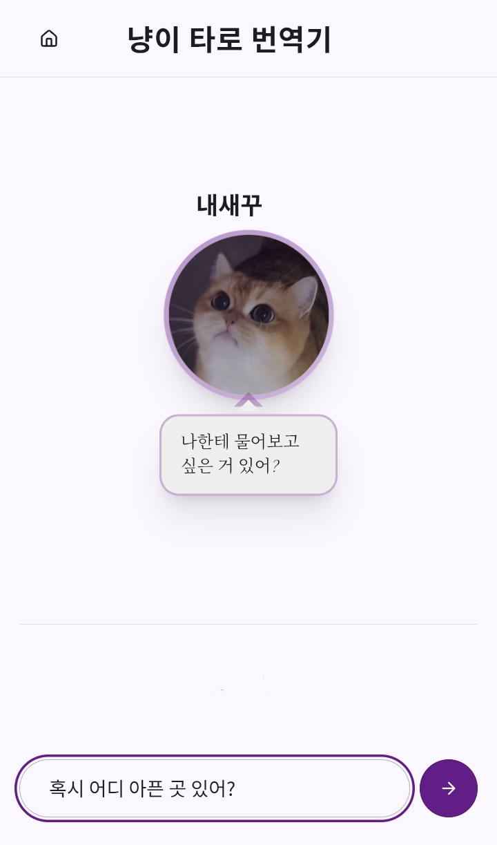캣타로 웹앱 스크린샷 1